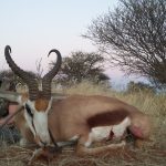 20170807_175117_resized_20171105_104635889